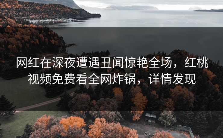 网红在深夜遭遇丑闻惊艳全场，红桃视频免费看全网炸锅，详情发现