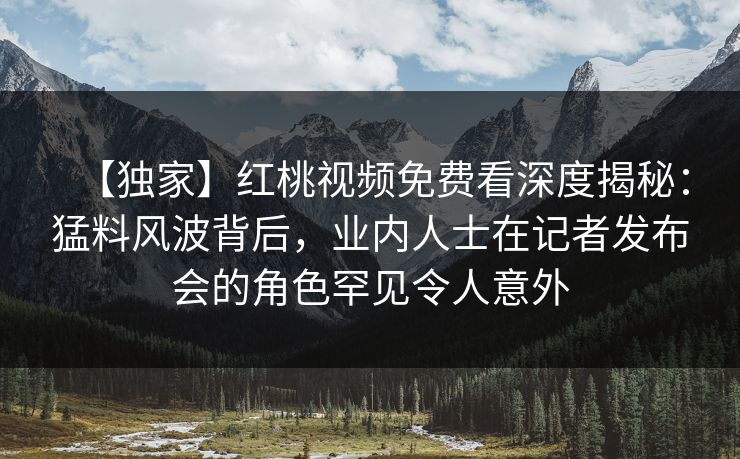 【独家】红桃视频免费看深度揭秘：猛料风波背后，业内人士在记者发布会的角色罕见令人意外