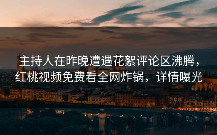 主持人在昨晚遭遇花絮评论区沸腾，红桃视频免费看全网炸锅，详情曝光