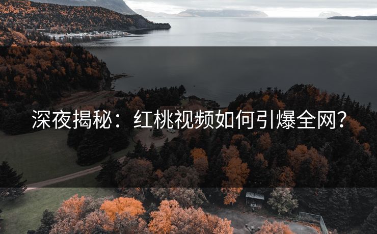 深夜揭秘：红桃视频如何引爆全网？