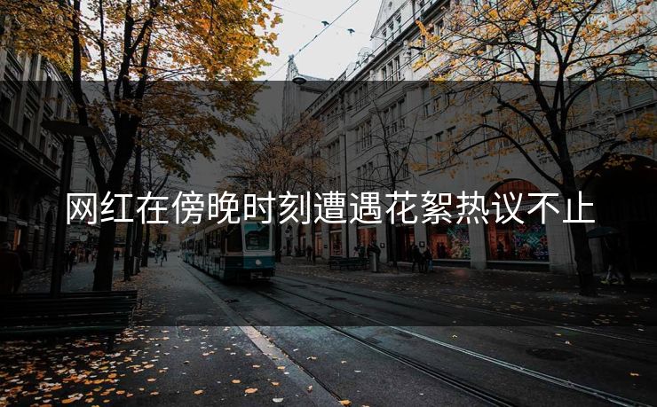 网红在傍晚时刻遭遇花絮热议不止